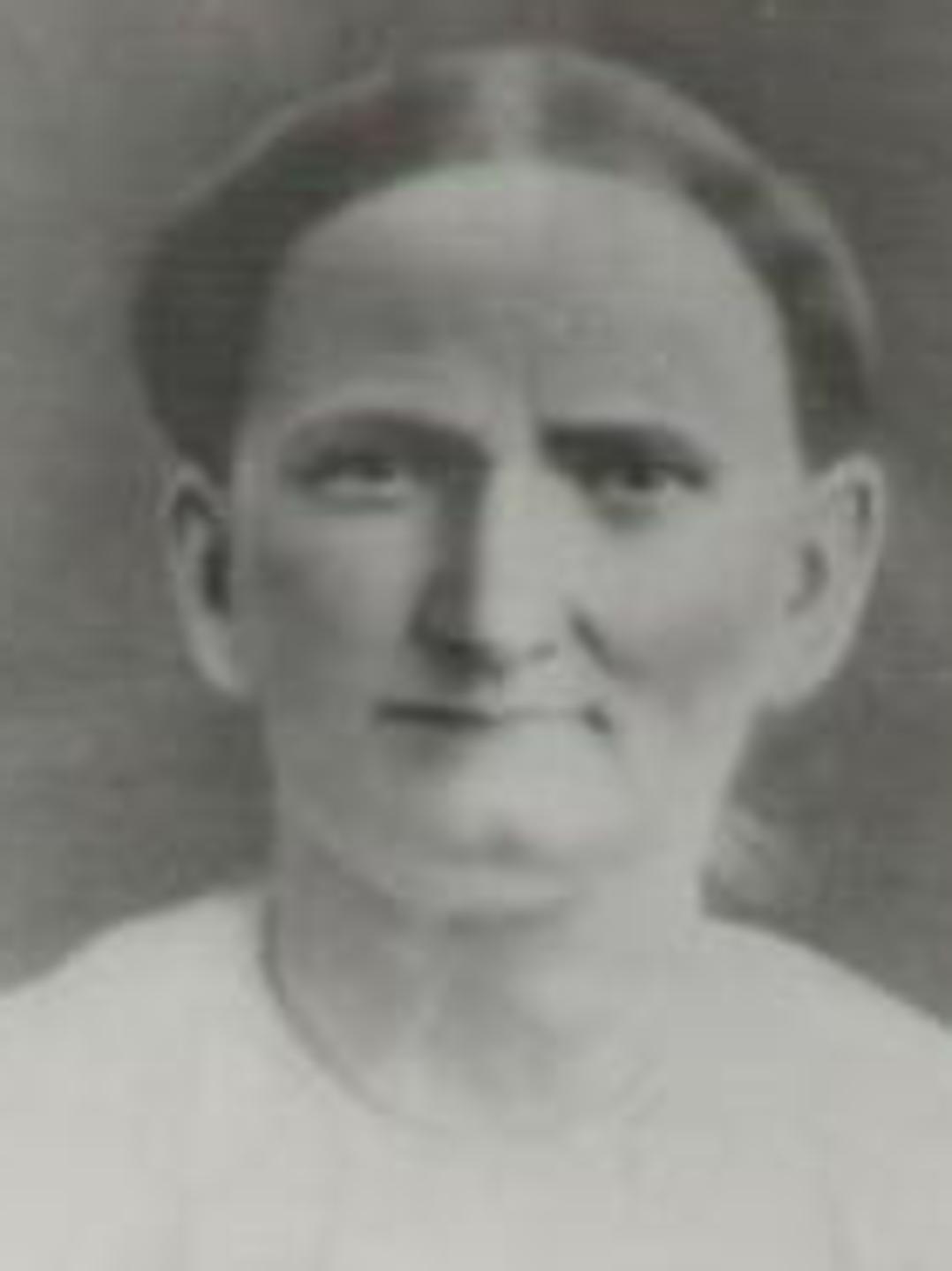 Ann Cable (1844 - 1910) Profile